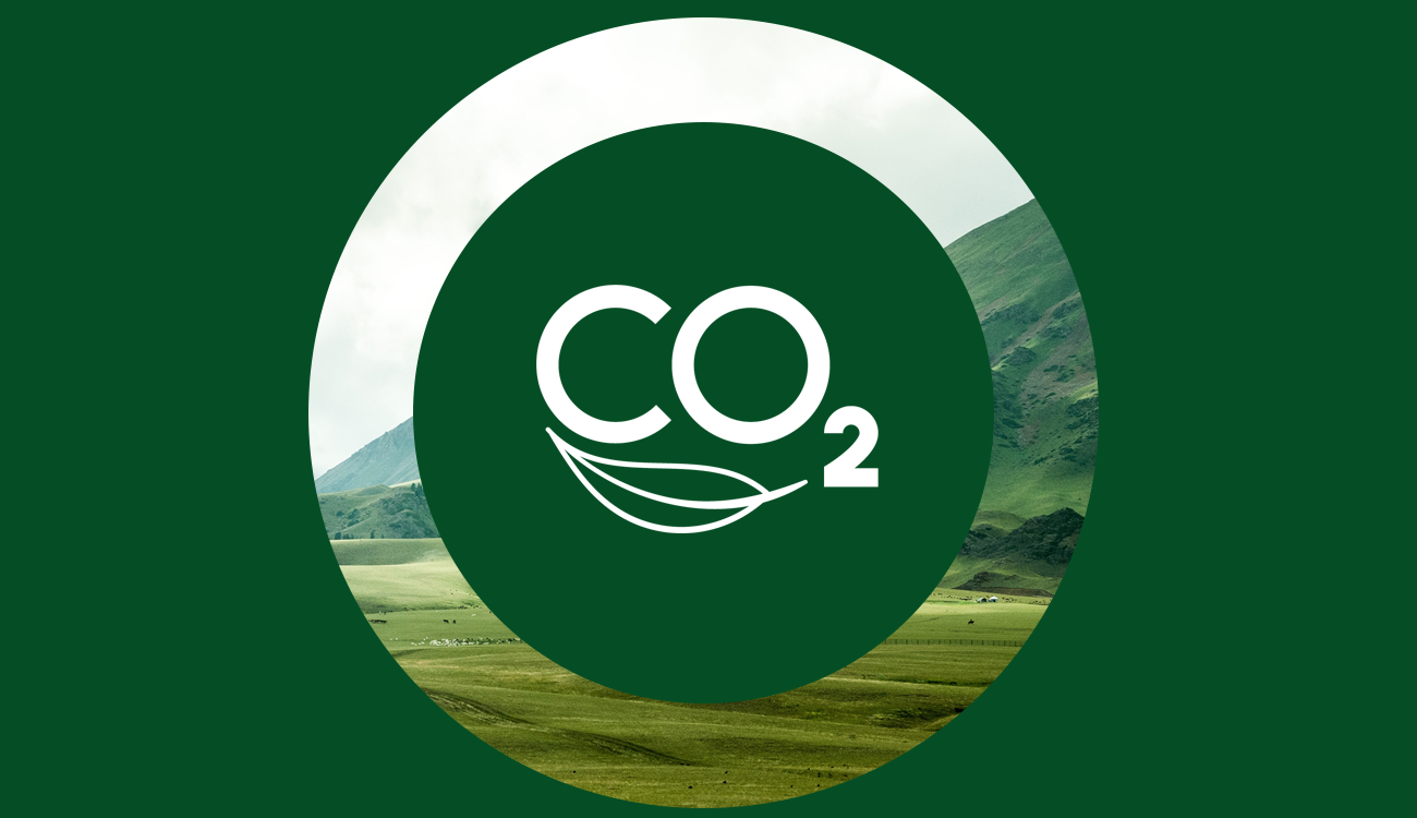 CO2 mobile